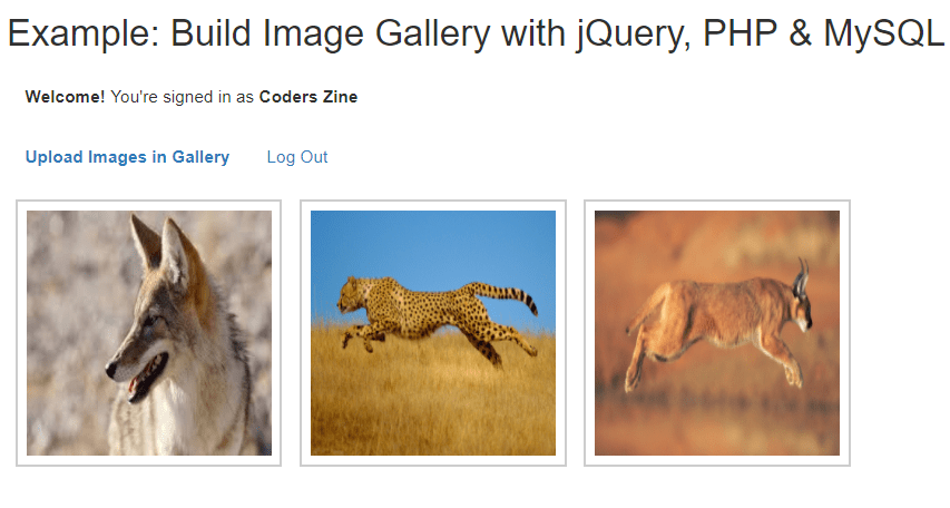 dynamic image gallery with php mysql